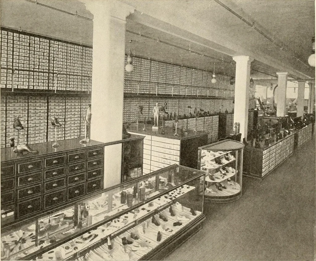 An illustration from House-warming at the new Howland store, Bridgeport, November 18th to 21st, 1908., 1845, leaf 14