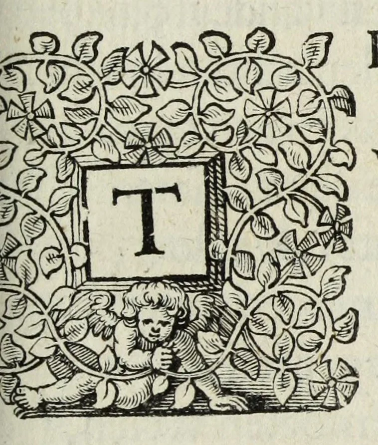 An illustration from Houwelyck, dat is, De gansche gelegtheydt des echten staets, 1625, leaf 563
