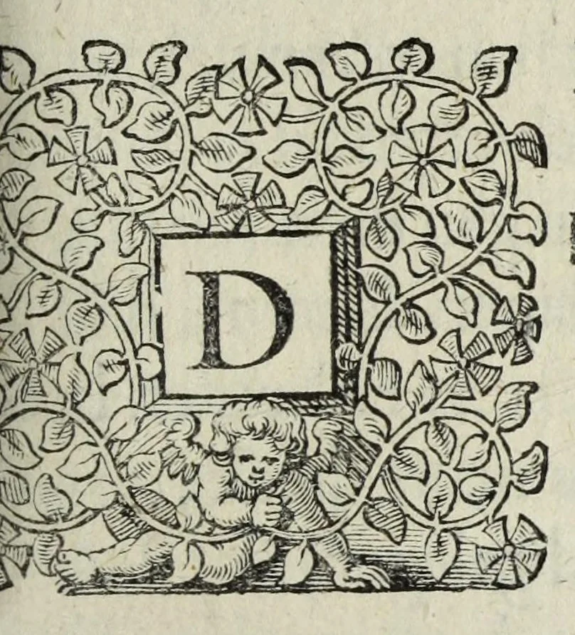 An illustration from Houwelyck, dat is, De gansche gelegtheydt des echten staets, 1625, leaf 647