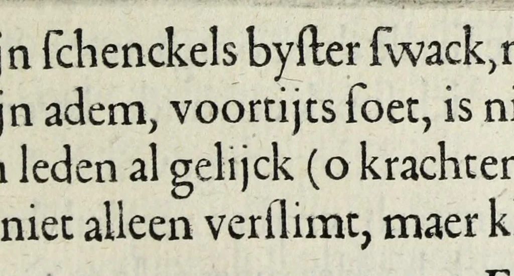An illustration from Houwelyck, dat is, De gansche gelegtheydt des echten staets, 1625, leaf 683