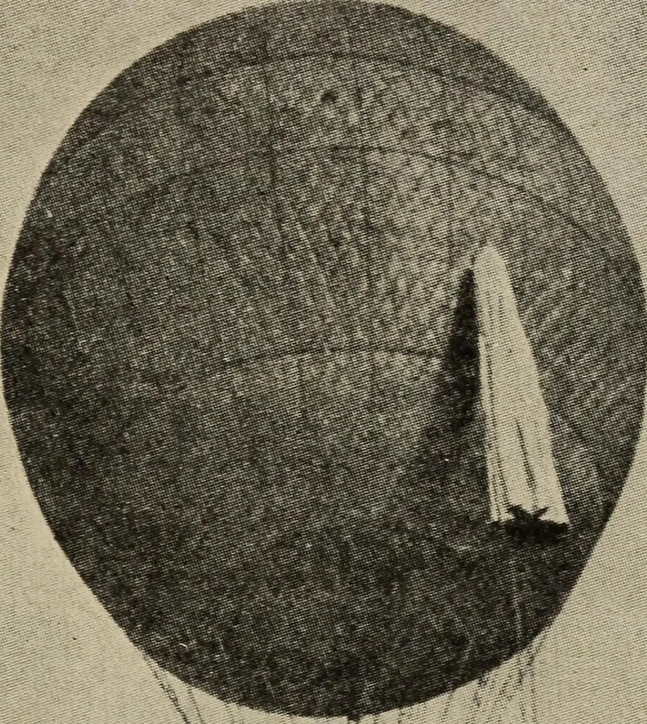An illustration from How it flies;, 1910, leaf 16