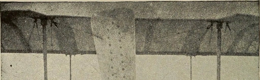An illustration from How it flies;, 1910, leaf 207