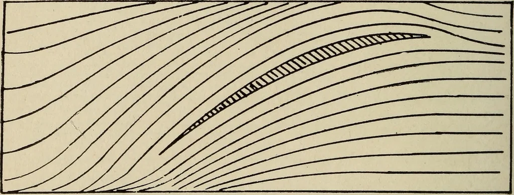 An illustration from How it flies;, 1910, leaf 221