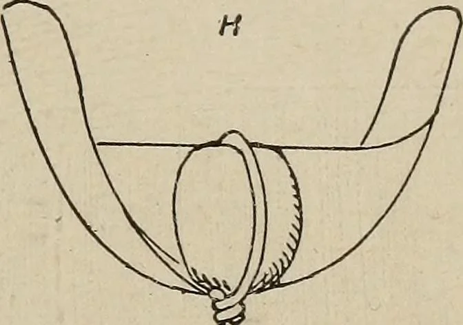 An illustration from How it flies;, 1910, leaf 224
