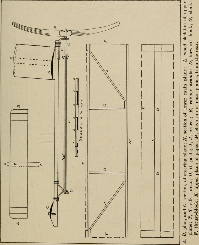 An illustration from How it flies;, 1910, leaf 230
