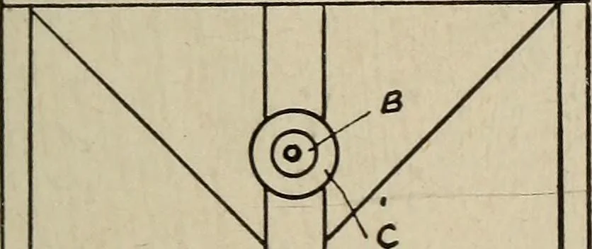 An illustration from How it flies;, 1910, leaf 238
