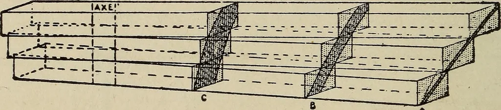 An illustration from How it flies;, 1910, leaf 239