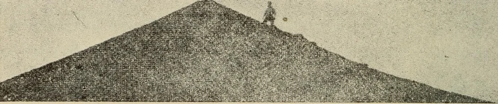 An illustration from How it flies;, 1910, leaf 251