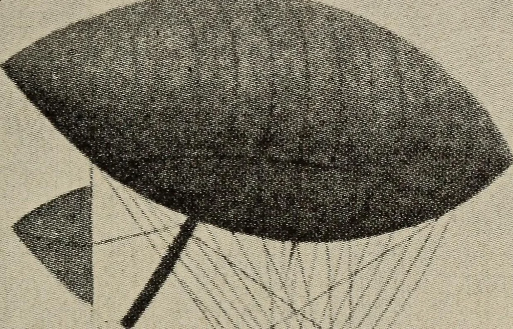 An illustration from How it flies;, 1910, leaf 310