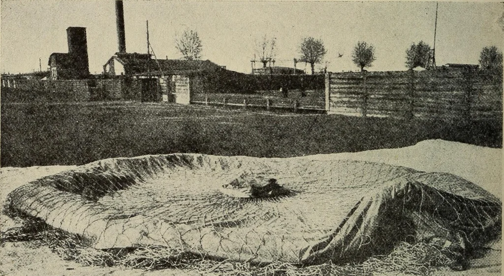 An illustration from How it flies;, 1910, leaf 343