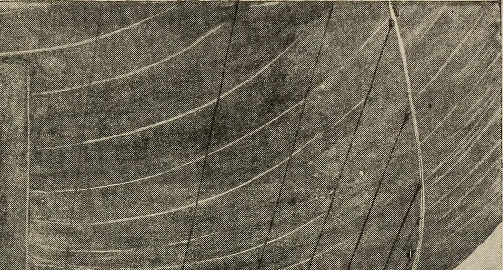 An illustration from How it flies;, 1910, leaf 366