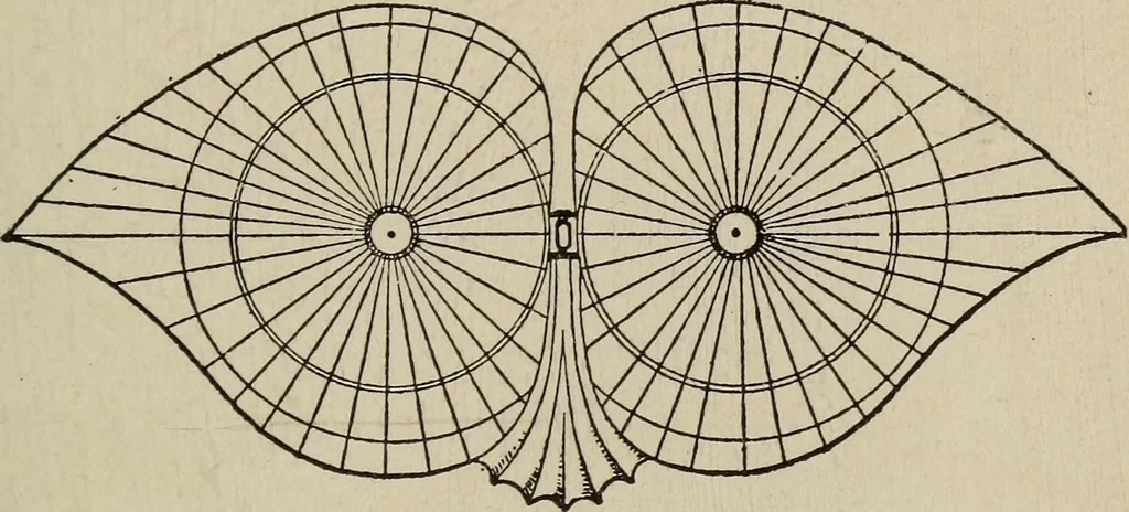 An illustration from How it flies;, 1910, leaf 60