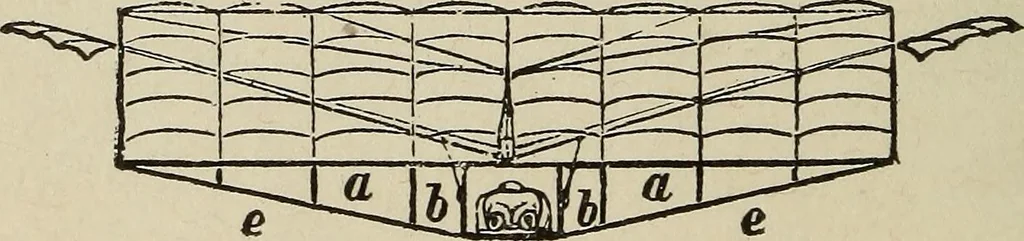 An illustration from How it flies;, 1910, leaf 63