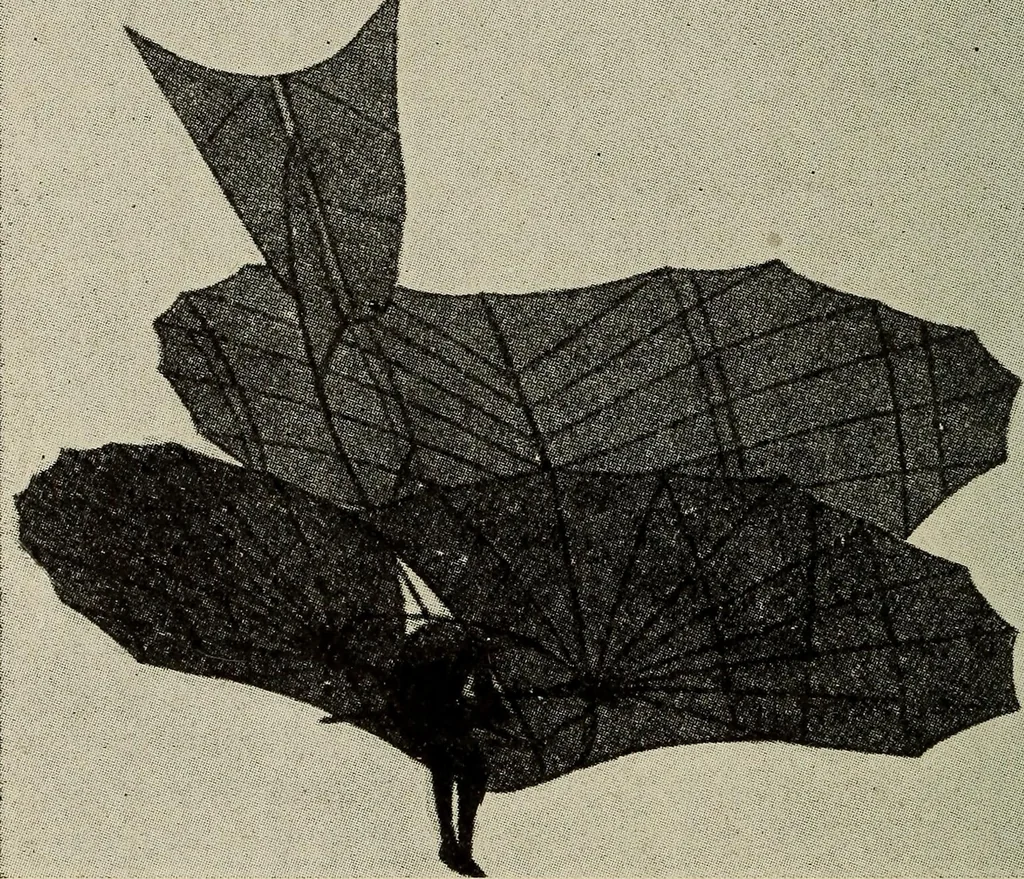 An illustration from How it flies;, 1910, leaf 67
