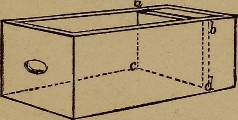 An illustration from How? or, Spare hours made profitable for boys and girls, 1887, leaf 154