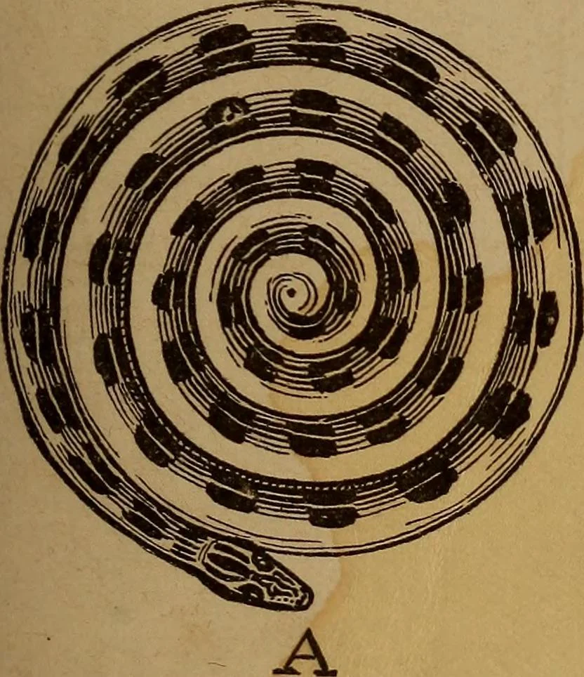An illustration from How? or, Spare hours made profitable for boys and girls, 1887, leaf 18