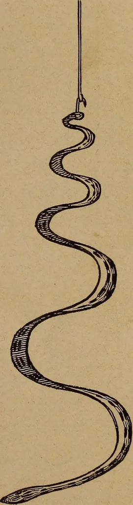 An illustration from How? or, Spare hours made profitable for boys and girls, 1887, leaf 18