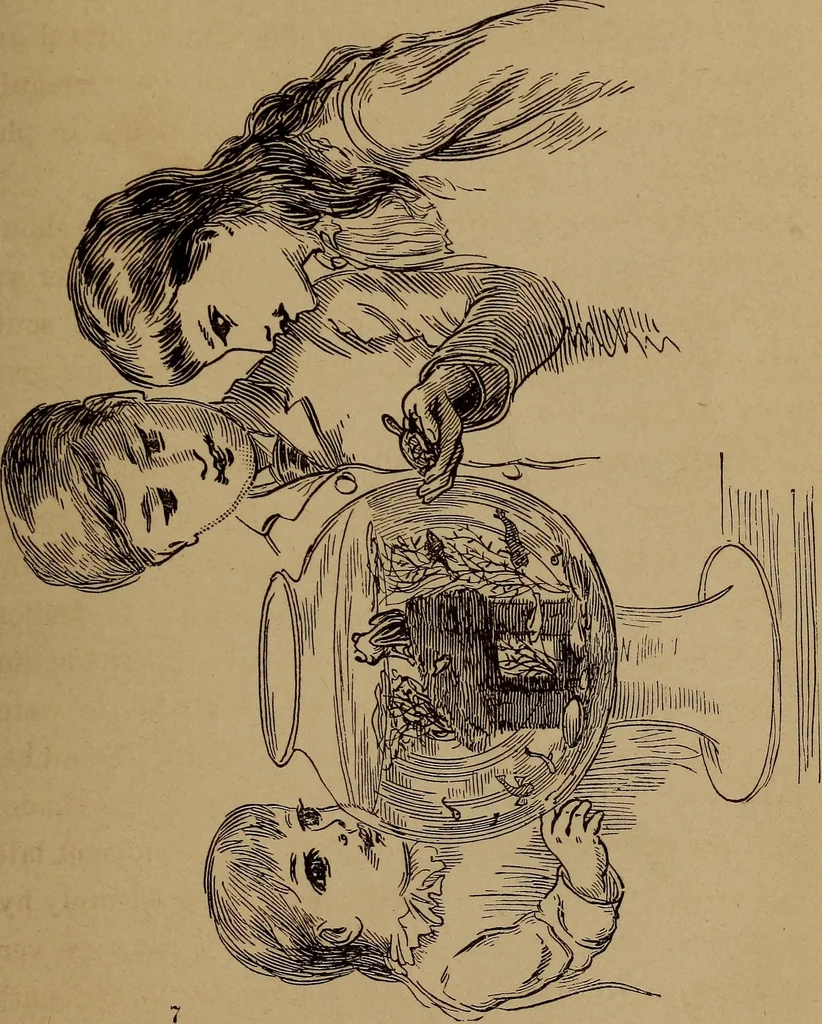 An illustration from How? or, Spare hours made profitable for boys and girls, 1887, leaf 198