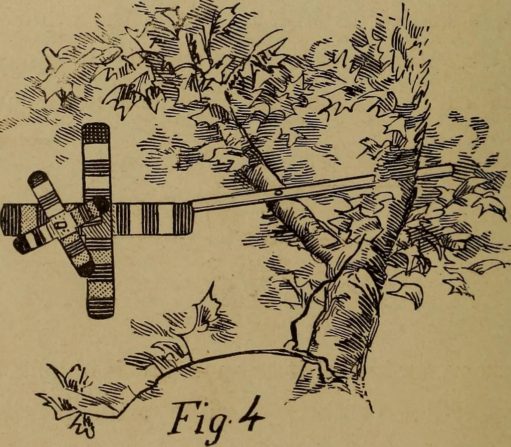 An illustration from How? or, Spare hours made profitable for boys and girls, 1887, leaf 213