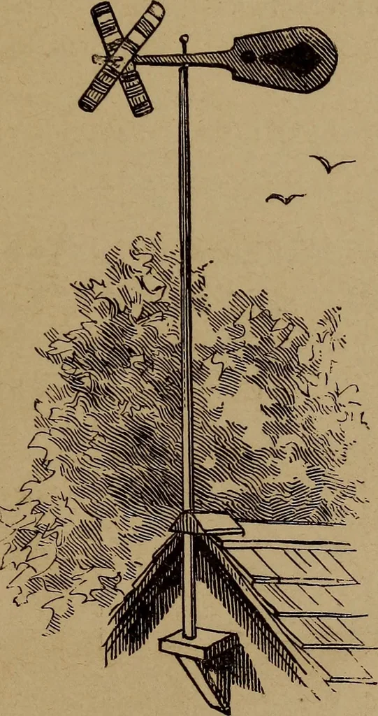 An illustration from How? or, Spare hours made profitable for boys and girls, 1887, leaf 214