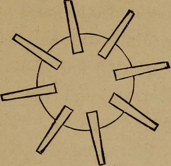 An illustration from How? or, Spare hours made profitable for boys and girls, 1887, leaf 218