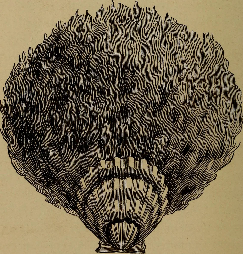 An illustration from How? or, Spare hours made profitable for boys and girls, 1887, leaf 233