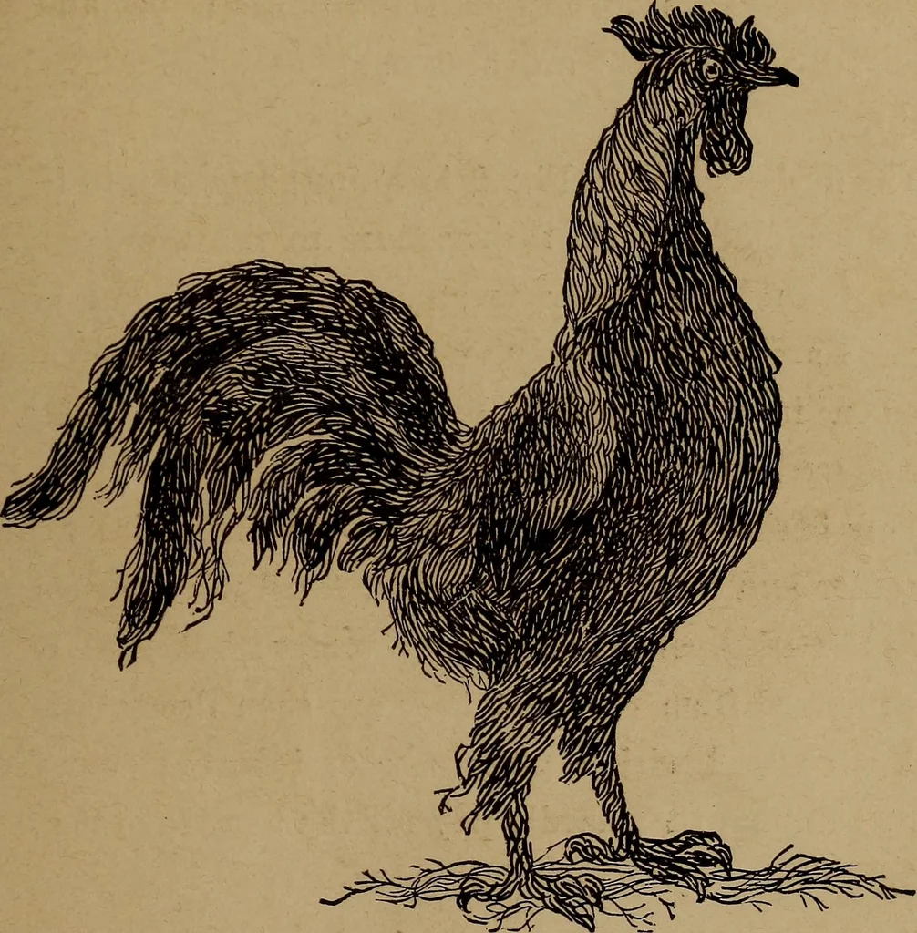 An illustration from How? or, Spare hours made profitable for boys and girls, 1887, leaf 234