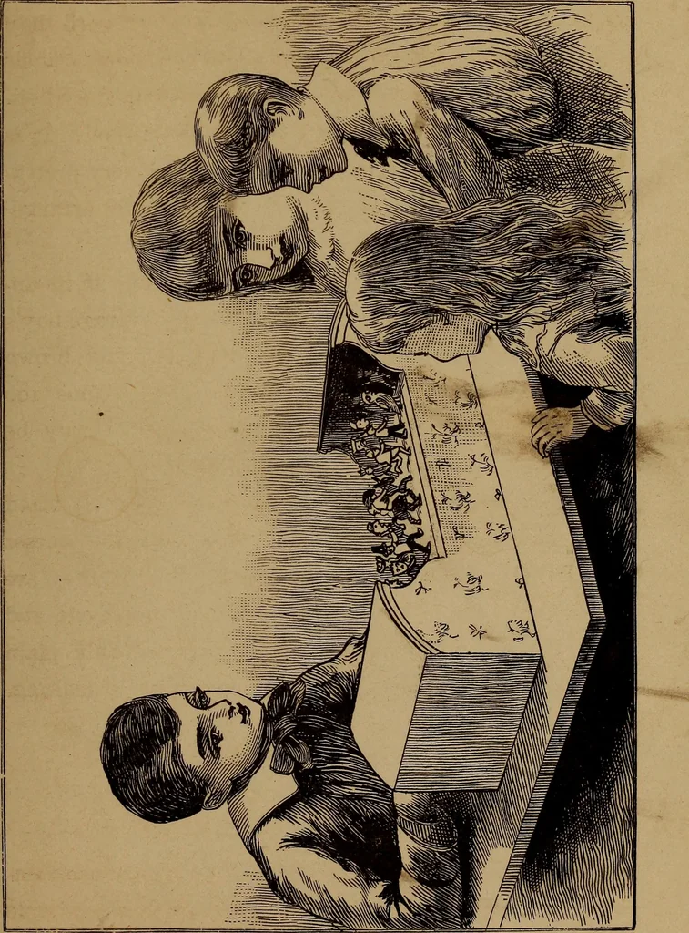 An illustration from How? or, Spare hours made profitable for boys and girls, 1887, leaf 236