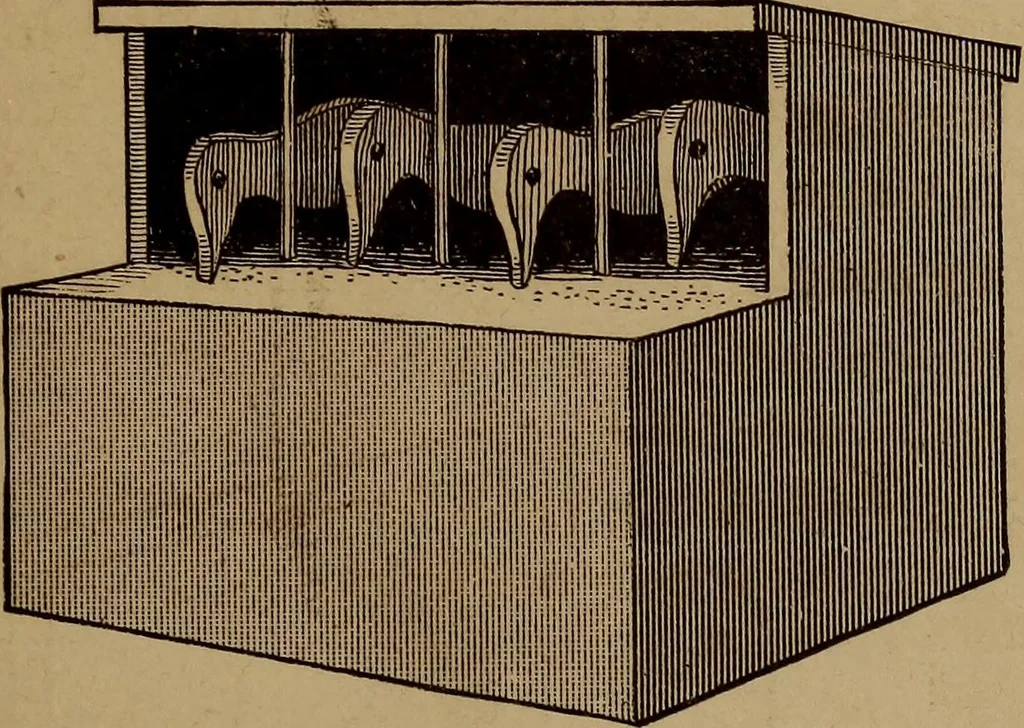 An illustration from How? or, Spare hours made profitable for boys and girls, 1887, leaf 240