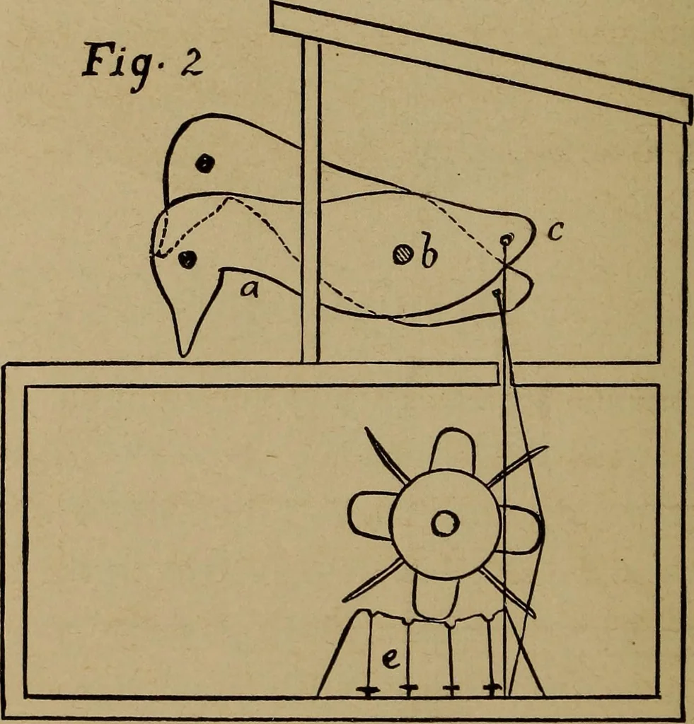 An illustration from How? or, Spare hours made profitable for boys and girls, 1887, leaf 241