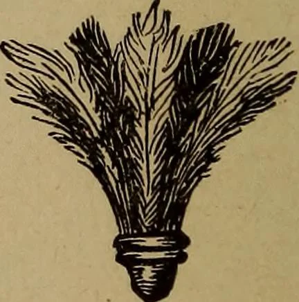 An illustration from How? or, Spare hours made profitable for boys and girls, 1887, leaf 257