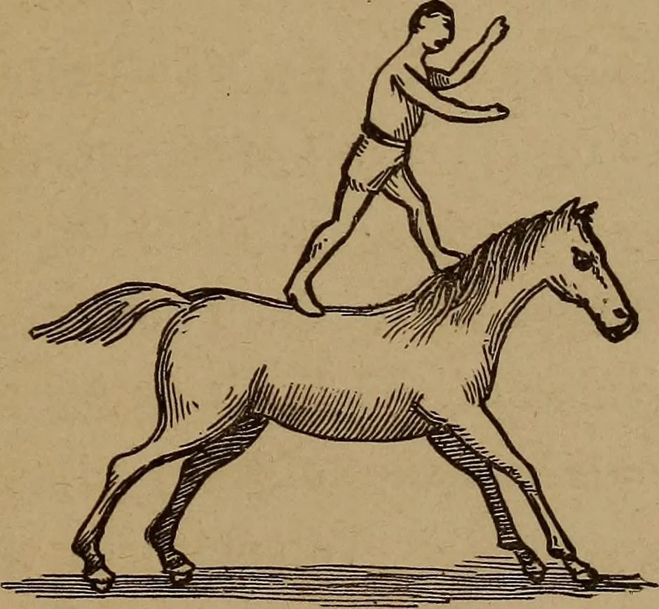 An illustration from How? or, Spare hours made profitable for boys and girls, 1887, leaf 276