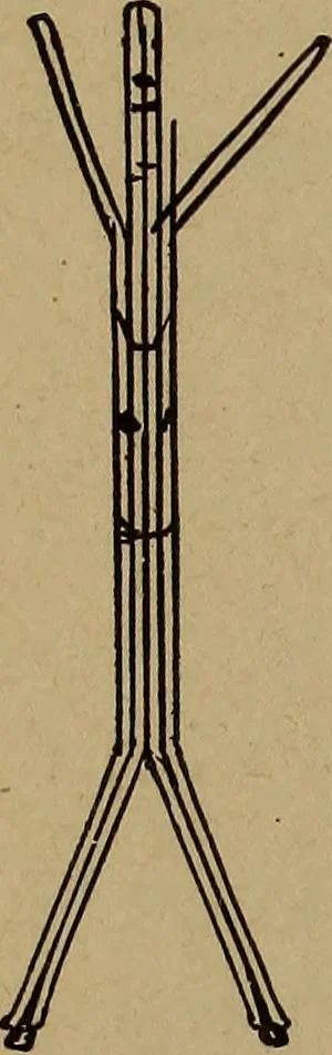 An illustration from How? or, Spare hours made profitable for boys and girls, 1887, leaf 277