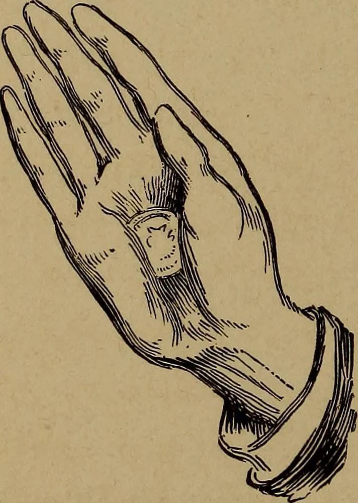 An illustration from How? or, Spare hours made profitable for boys and girls, 1887, leaf 293