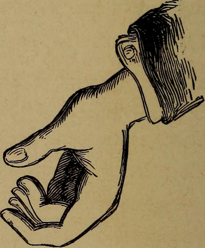 An illustration from How? or, Spare hours made profitable for boys and girls, 1887, leaf 293