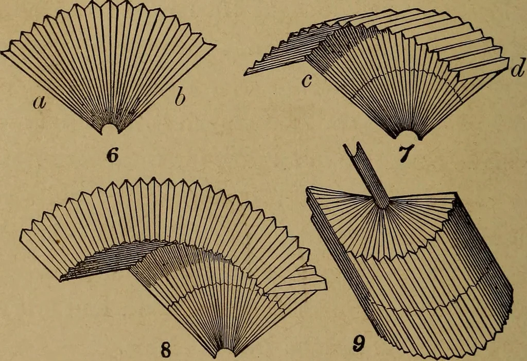 An illustration from How? or, Spare hours made profitable for boys and girls, 1887, leaf 333