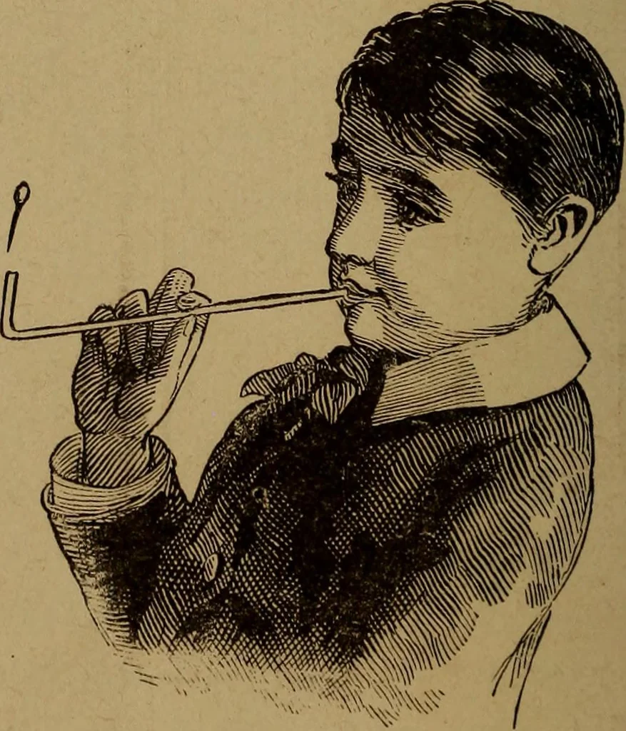 An illustration from How? or, Spare hours made profitable for boys and girls, 1887, leaf 49