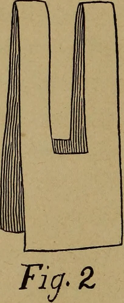 An illustration from How? or, Spare hours made profitable for boys and girls, 1887, leaf 63