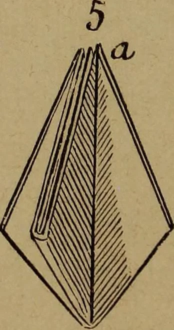 An illustration from How? or, Spare hours made profitable for boys and girls, 1887, leaf 85