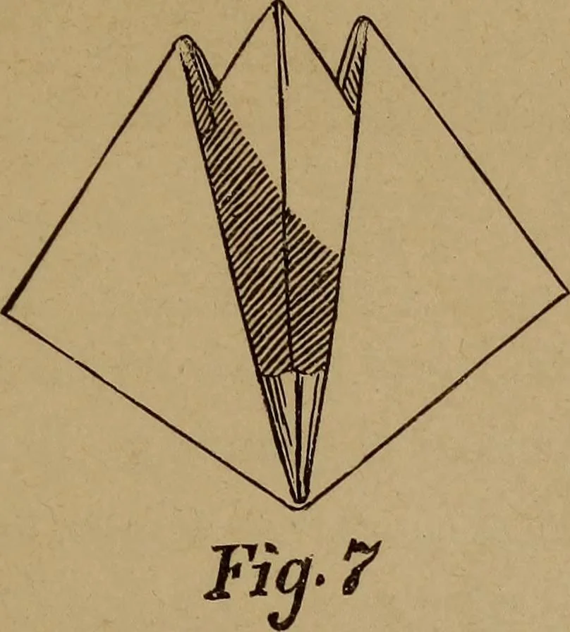 An illustration from How? or, Spare hours made profitable for boys and girls, 1887, leaf 90