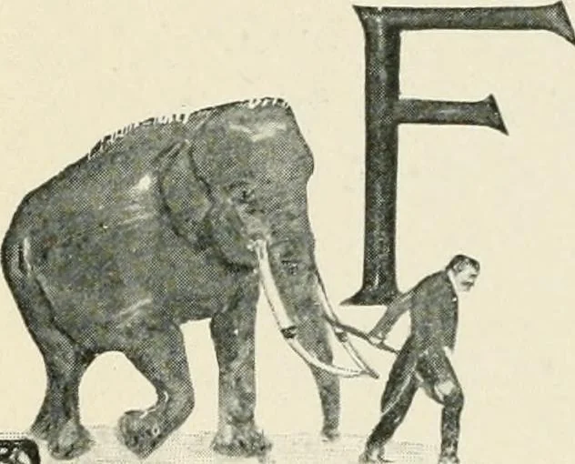 An illustration from How Paris amuses itself;, 1903, leaf 259