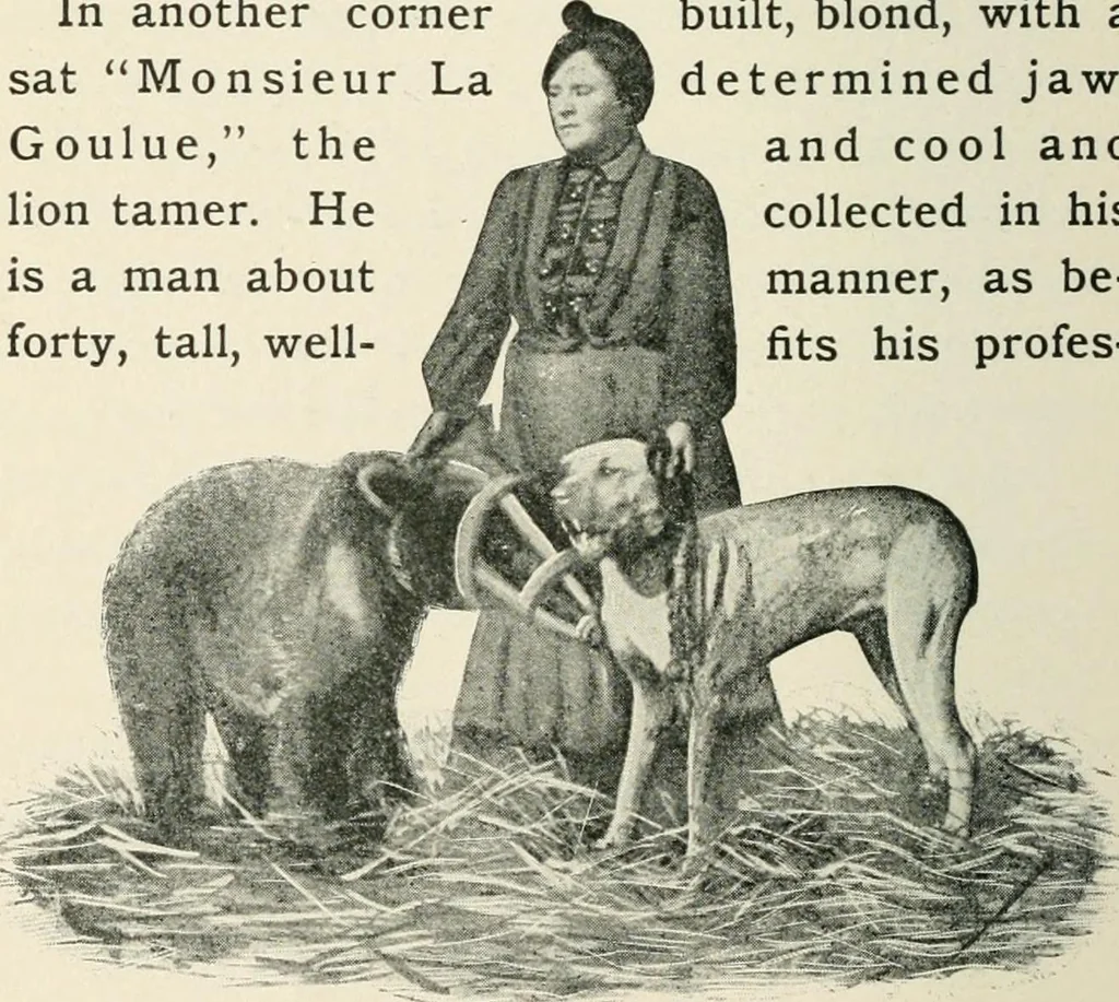 An illustration from How Paris amuses itself;, 1903, leaf 261