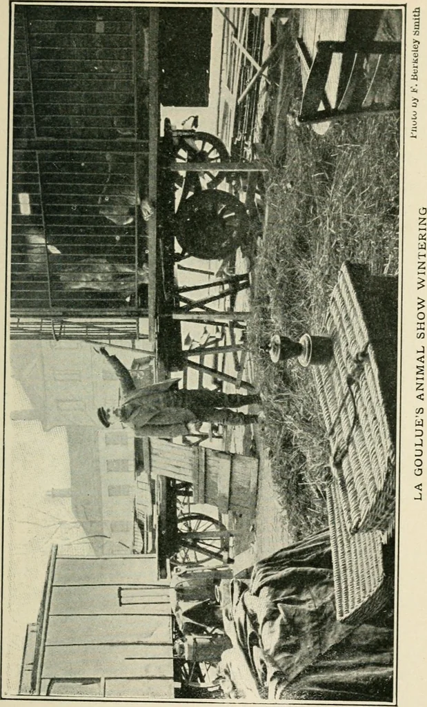 An illustration from How Paris amuses itself;, 1903, leaf 266