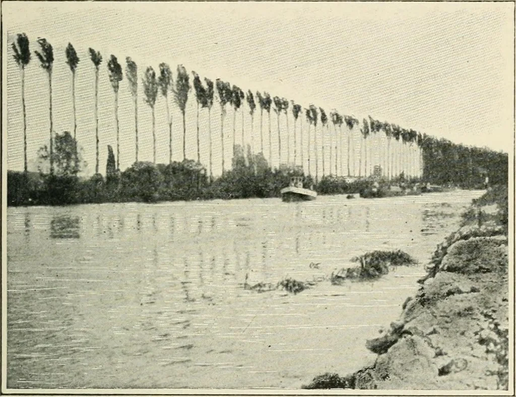 An illustration from How Paris amuses itself;, 1903, leaf 360
