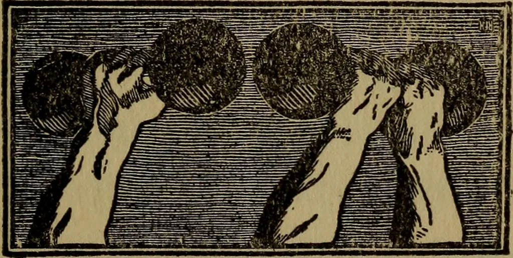 An illustration from How to advertise, a guide to designing, laying out, and composing advertisements, 1917, leaf 105