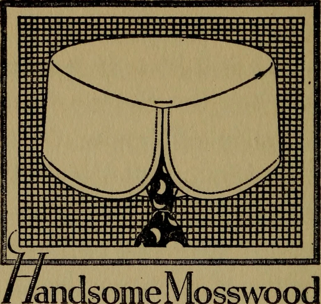 An illustration from How to advertise, a guide to designing, laying out, and composing advertisements, 1917, leaf 175