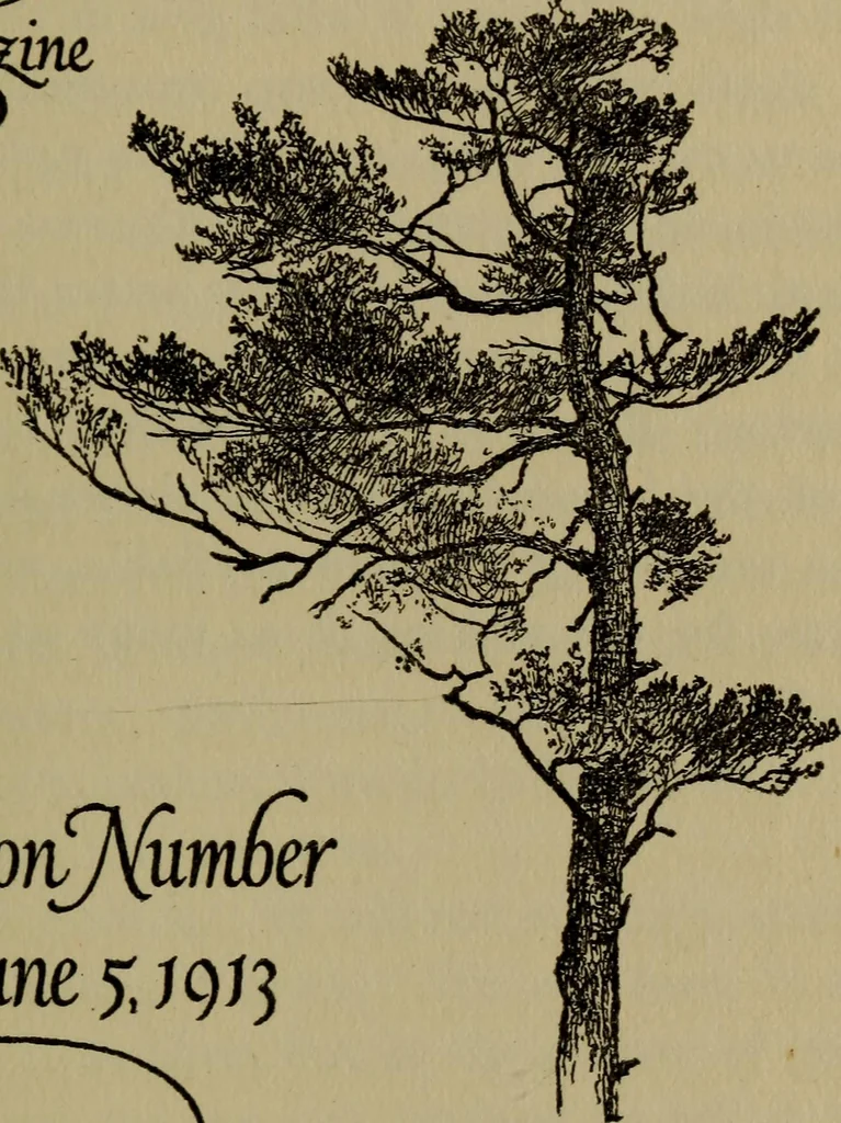 An illustration from How to advertise, a guide to designing, laying out, and composing advertisements, 1917, leaf 268