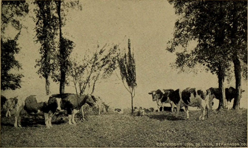 An illustration from How to advertise, a guide to designing, laying out, and composing advertisements, 1917, leaf 38
