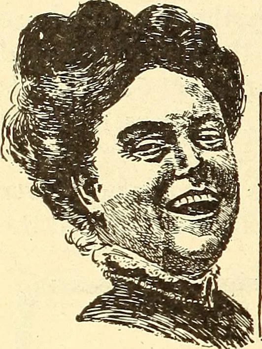 An illustration from How to advertise a retail store, including mail order advertising and general advertising; a complete comprehensive manual for promoting publicity, 1908, leaf 273