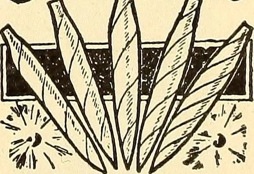 An illustration from How to advertise a retail store, including mail order advertising and general advertising; a complete comprehensive manual for promoting publicity, 1908, leaf 288